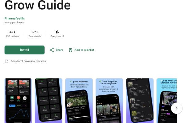 Documenting Your Cannabis Journey: Beyond Instagram and YouTube